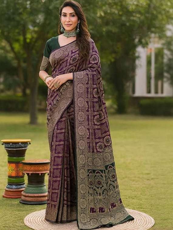 women self design banarasi saree with blouse
