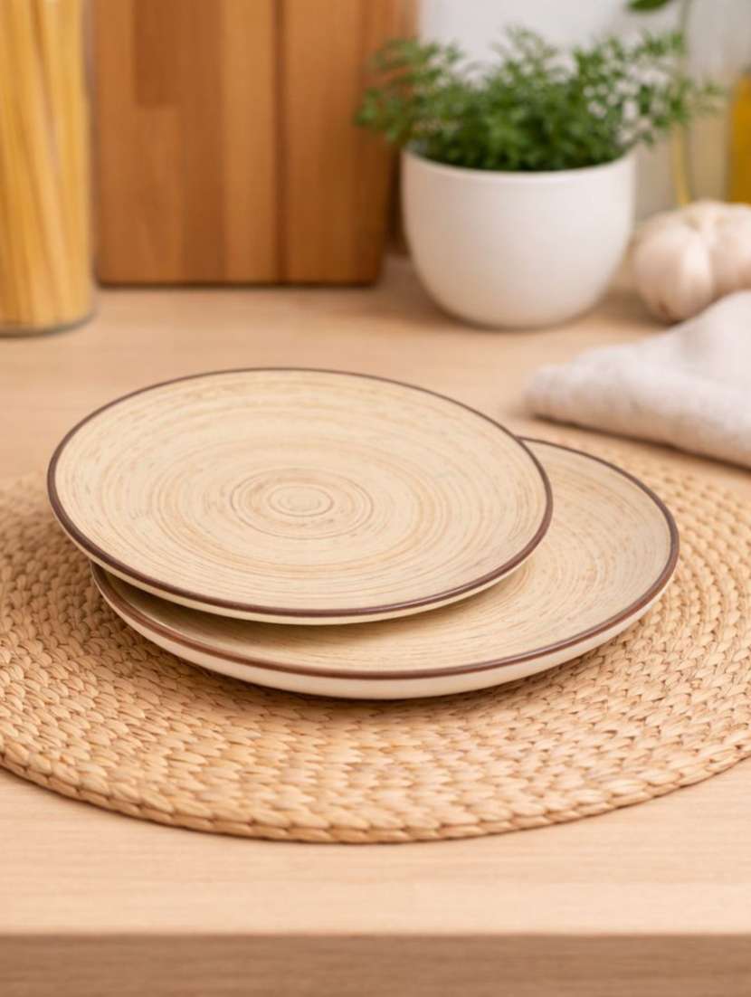 set of 2  ceramic dinner plate