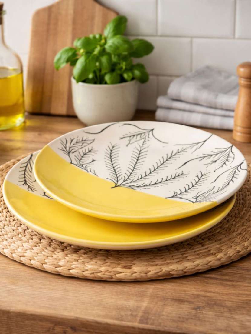 set of 2  ceramic dinner plate