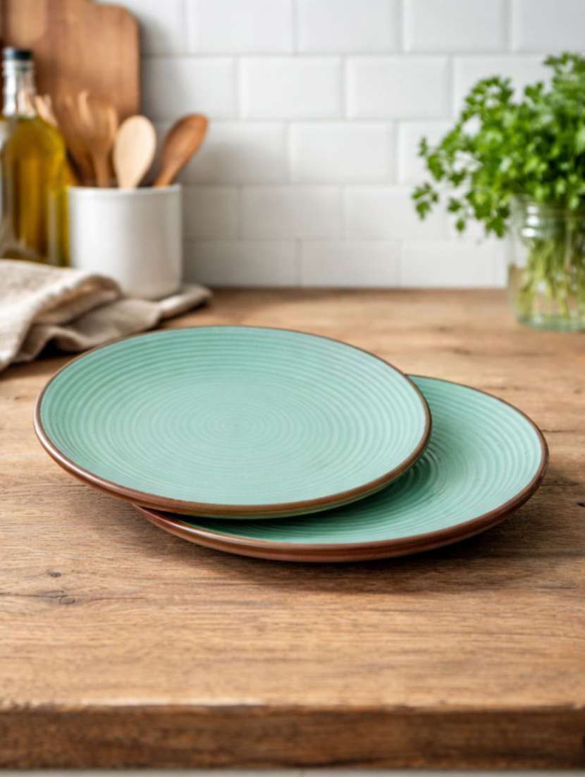 set of 2  ceramic dinner plate