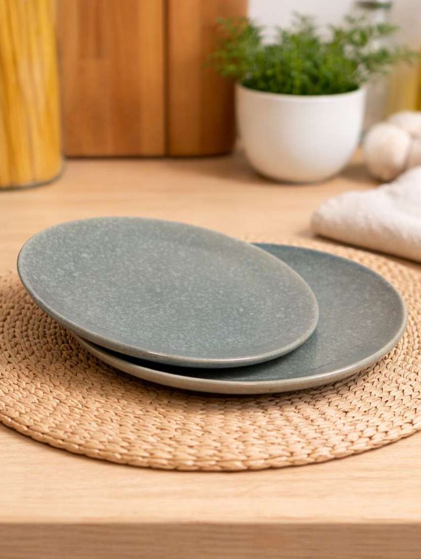 set of 2  ceramic dinner plate