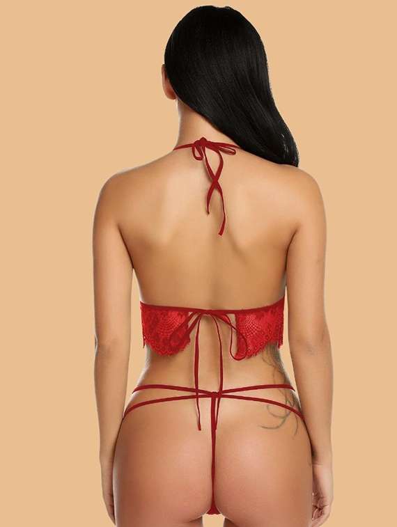 22448619 - 22448631 -  Standard Image - 3