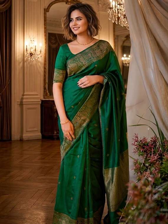 women self design banarasi saree with blouse