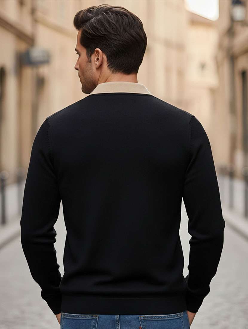 men color block long sleeve regular fit polo t-shirt - 22467134 -  Standard Image - 3