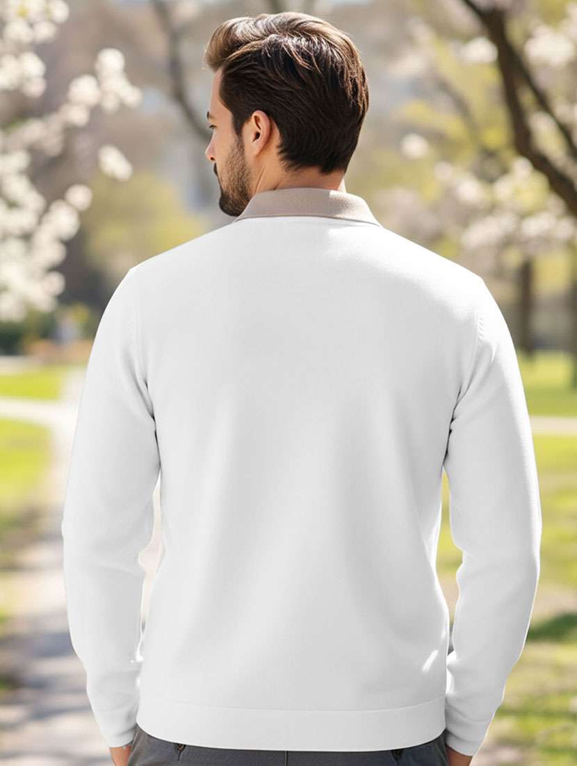 men color block long sleeve regular fit polo t-shirt - 22467135 -  Standard Image - 3