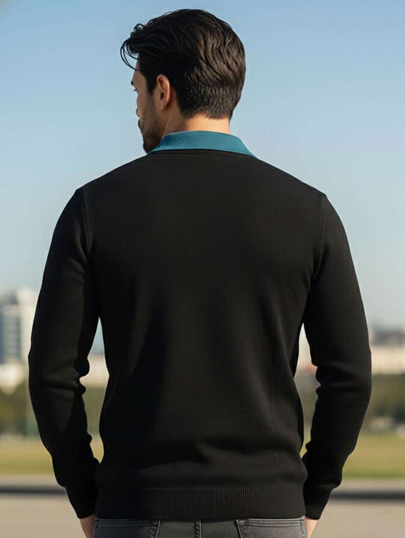 men color block long sleeve regular fit polo t-shirt - 22467136 -  Standard Image - 3