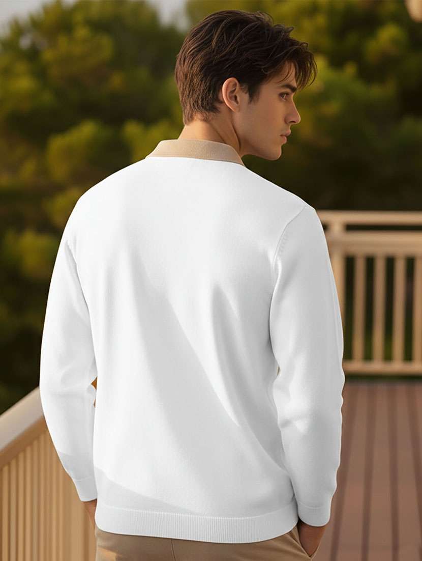 men color block long sleeve regular fit polo t-shirt - 22467137 -  Standard Image - 3