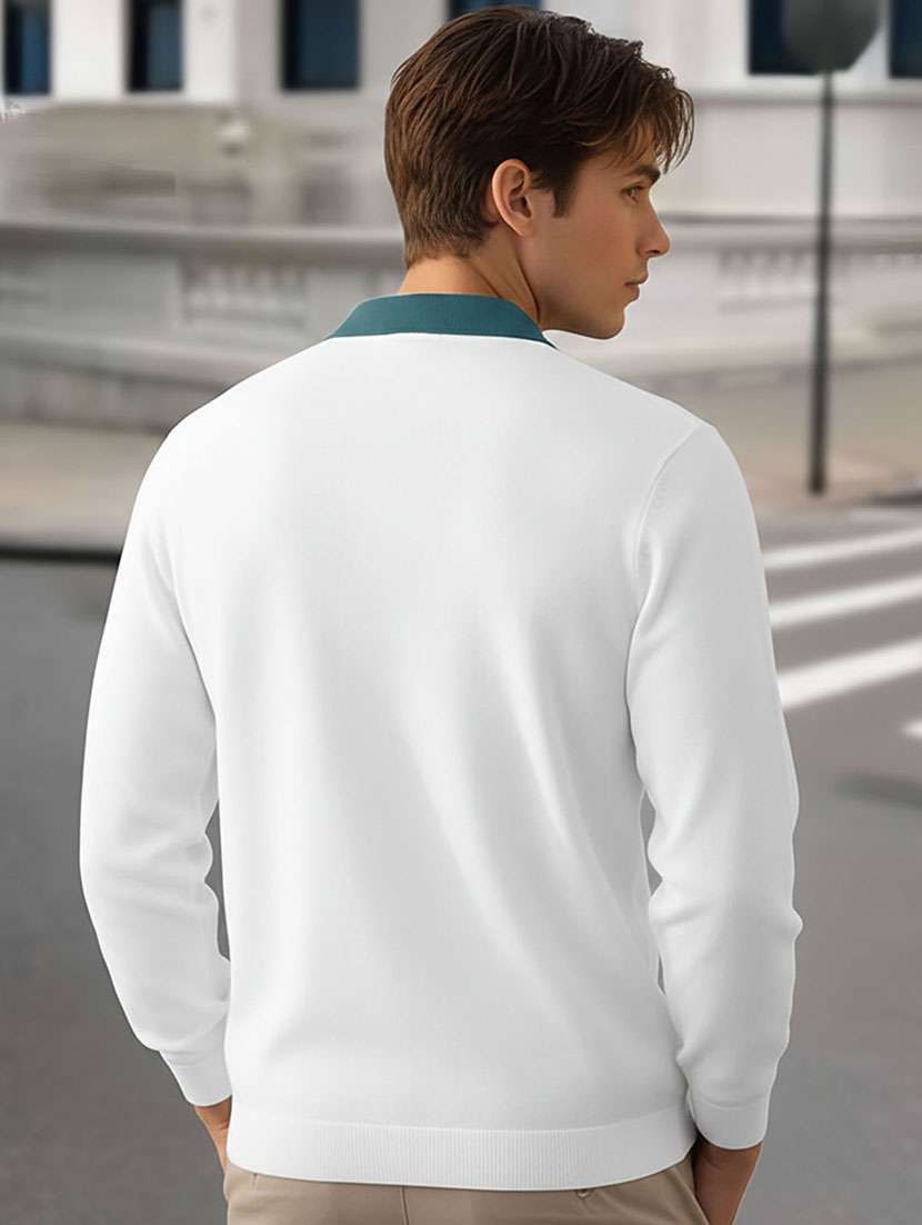men color block long sleeve regular fit polo t-shirt - 22467141 -  Standard Image - 3