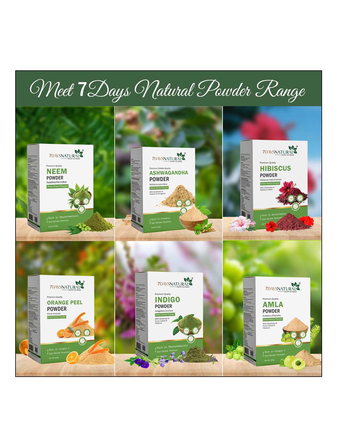 7daysnatural premium edible quality moringa powder - 22489820 -  Standard Image - 3