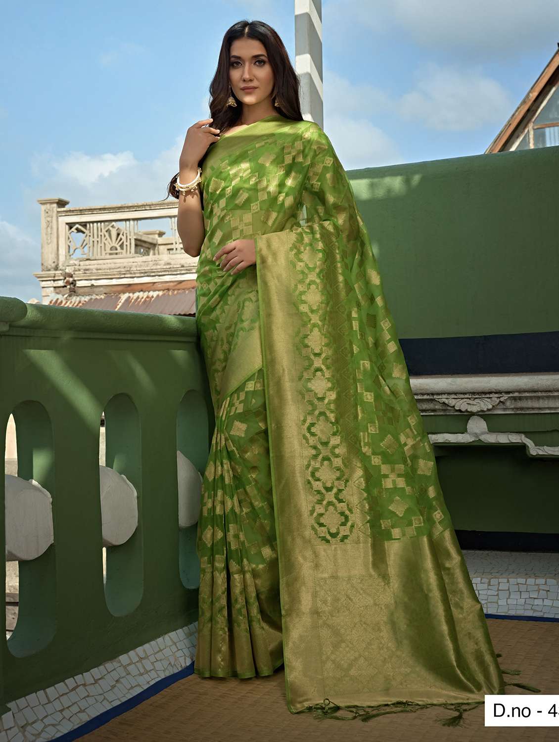 women self design banarasi saree with blouse