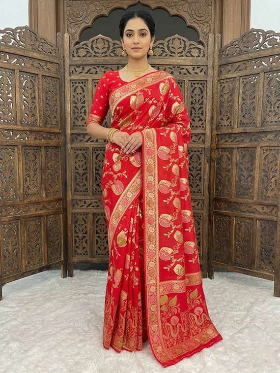 women self design banarasi saree with blouse