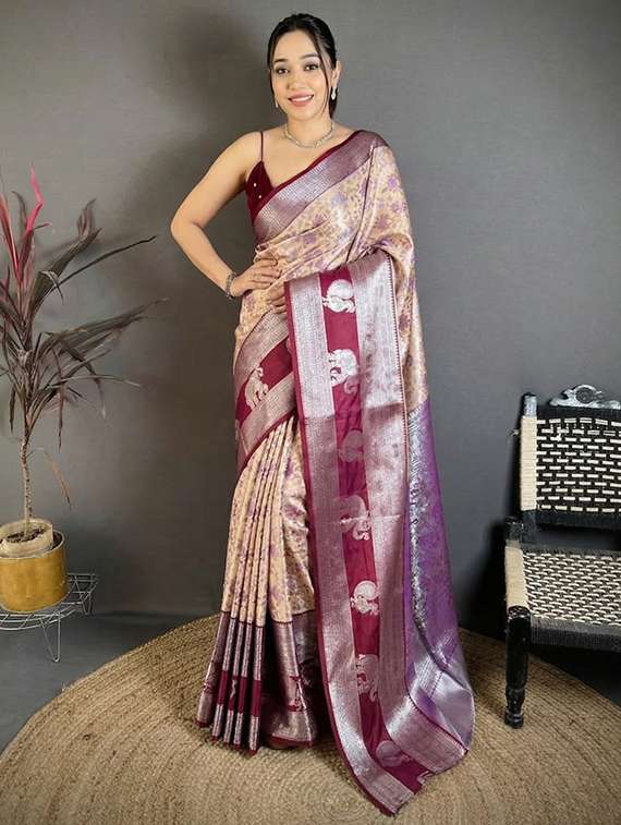 women self design banarasi saree with blouse