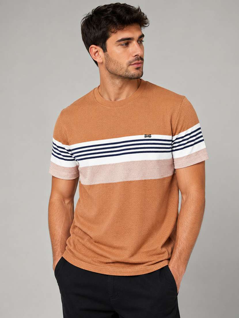 men striped short sleeve regular fit t-shirt
