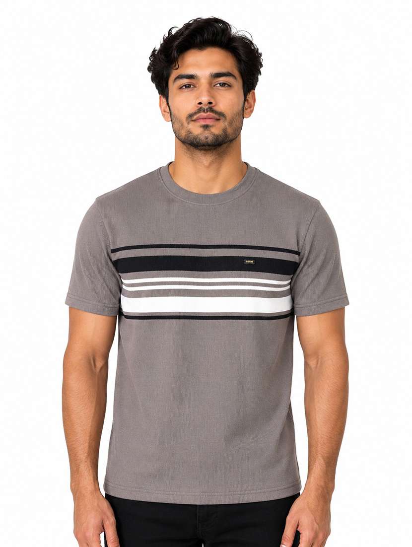 men striped short sleeve regular fit t-shirt