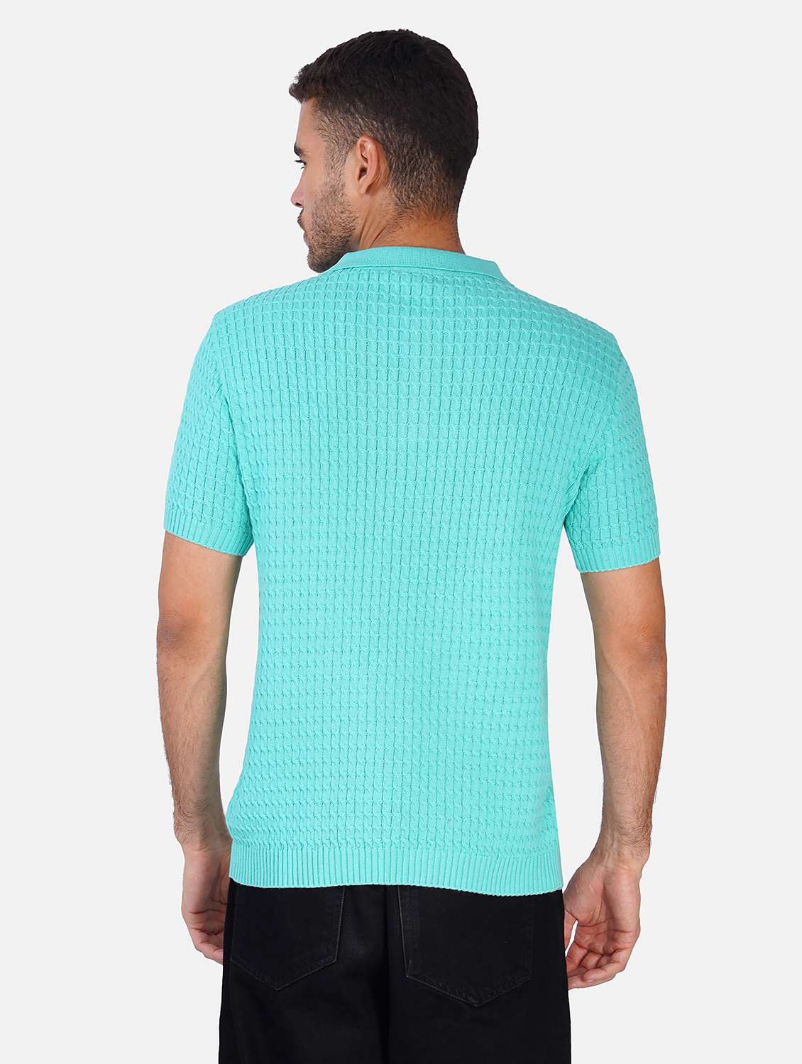 Men Self Design Short Sleeve Regular Fit Polo T-shirt - 22558359 -  Standard Image - 3