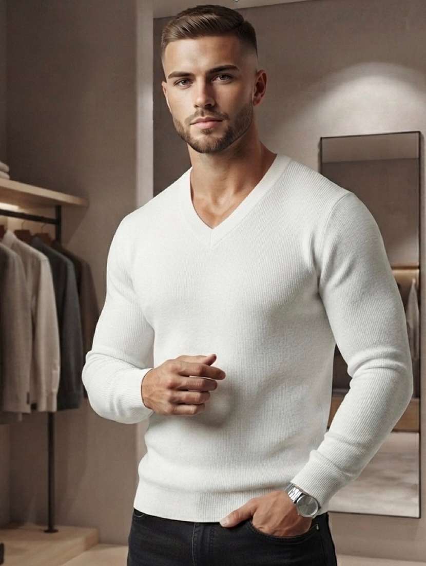 men solid long sleeves v neck pullover