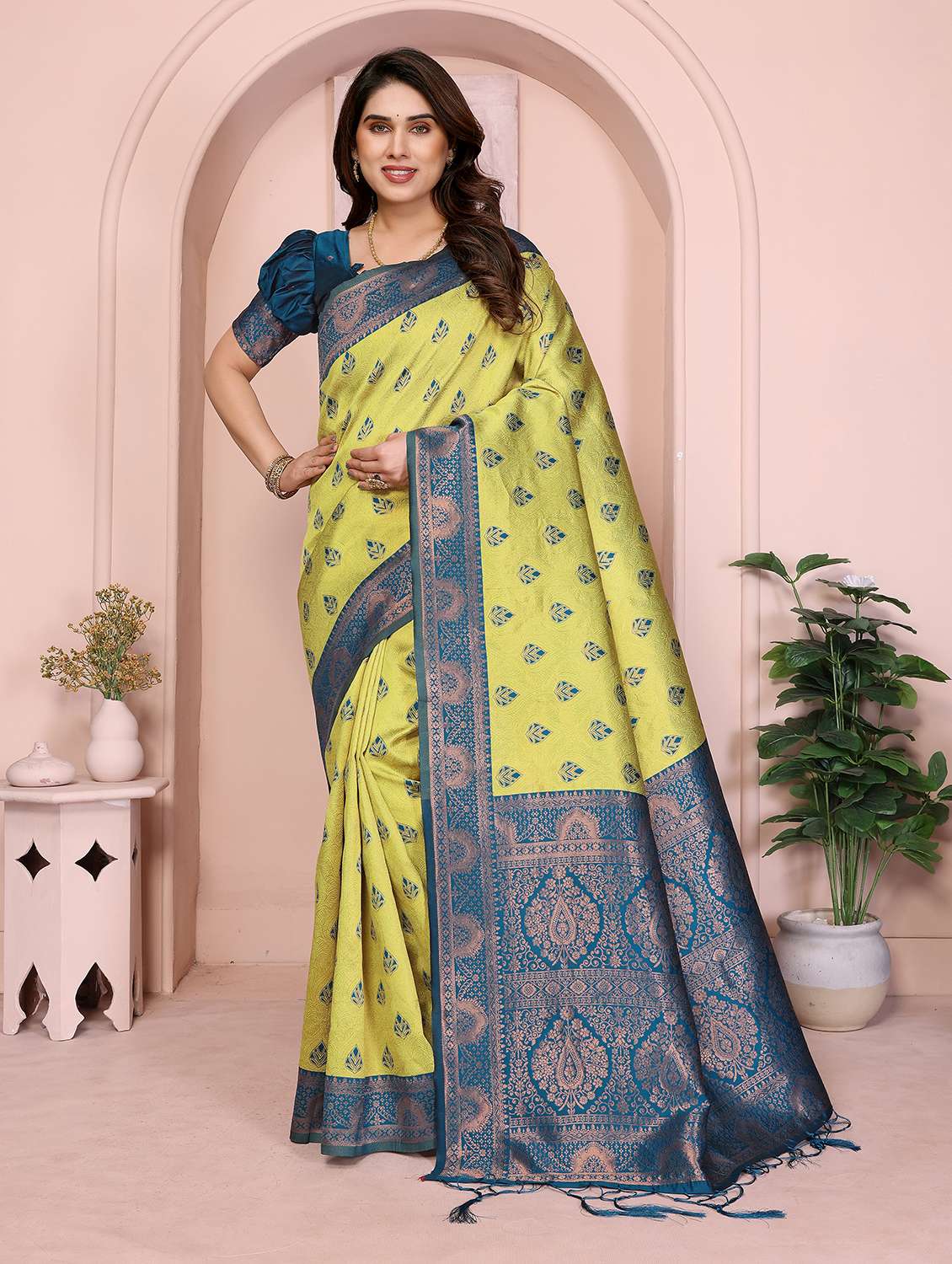 women self design banarasi saree with blouse