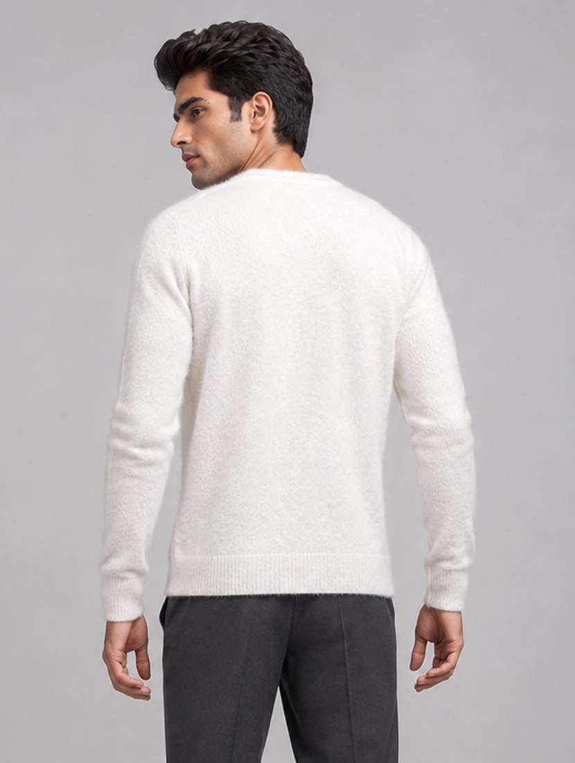 Men Self Design Long Sleeves Regular Fit Pullover - 22687373 -  Standard Image - 3