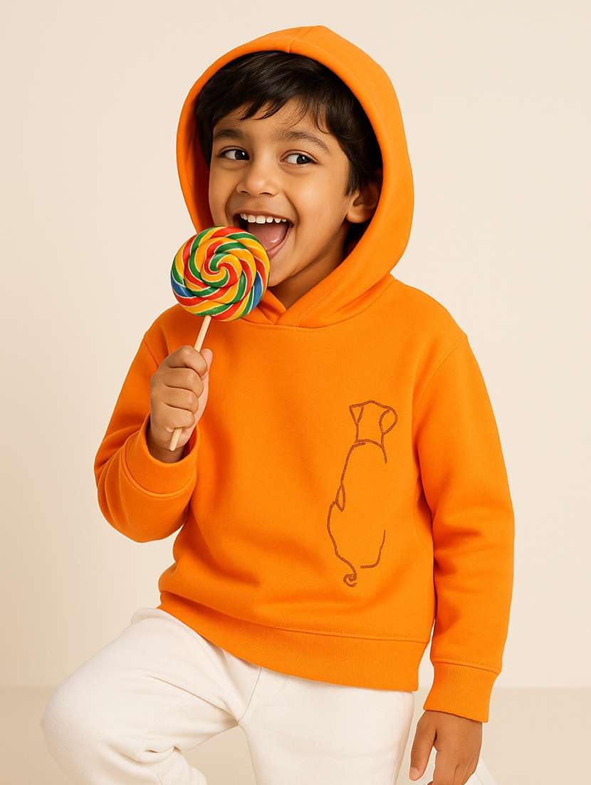boys embroidered long sleeves hooded sweatshirt