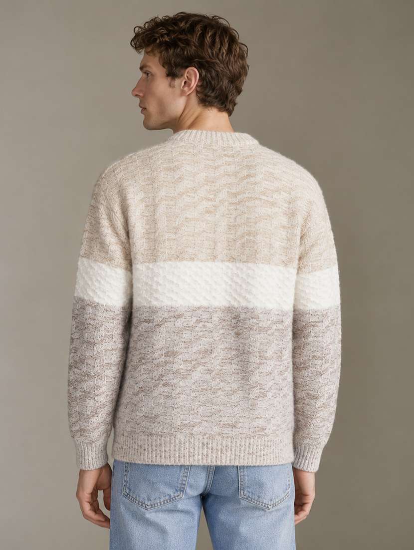 Men Self Design Long Sleeve Regular Fit Pullover - 22730735 -  Standard Image - 3