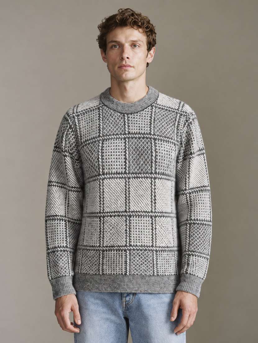 men checkered long sleeve regular fit pullover