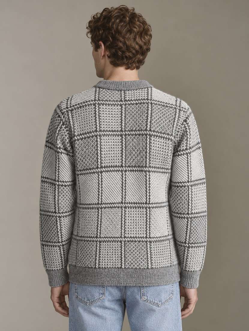 Men Checkered Long Sleeve Regular Fit Pullover - 22730750 -  Standard Image - 3