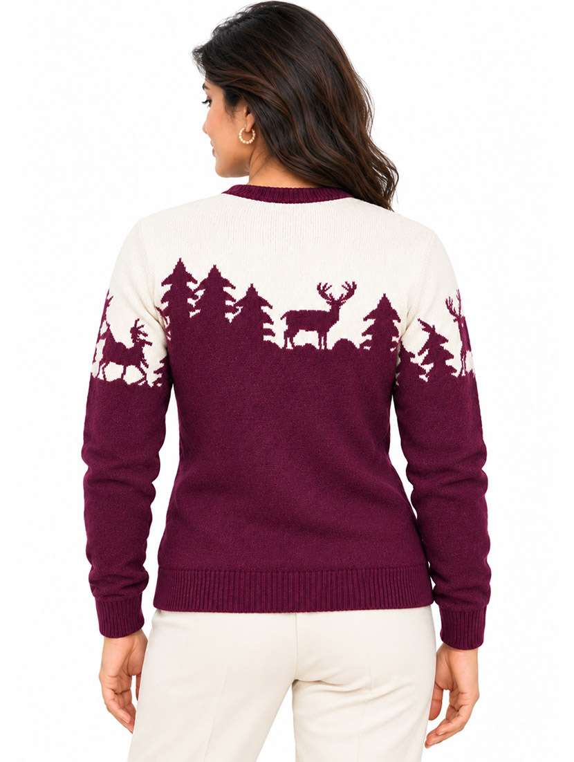 Women Self Design Long Sleeves Regular Sweater - 22764936 -  Standard Image - 3