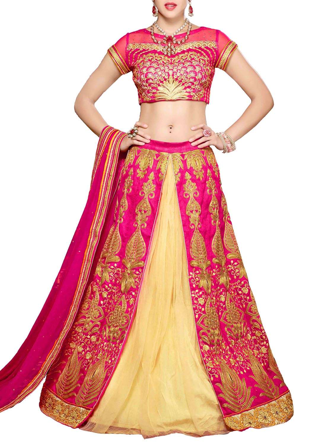 Multicolored net embroidered lehenga set